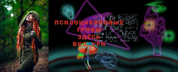 мяу мяу мука Карталы