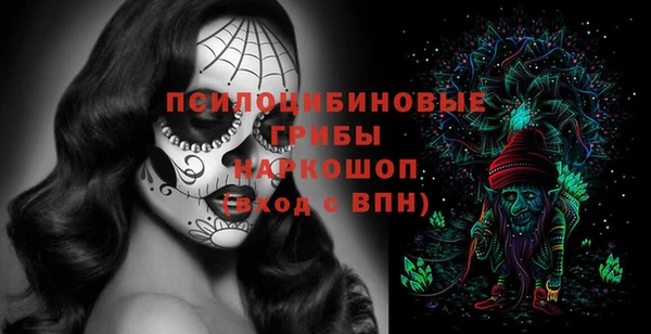 ГАЛЛЮЦИНОГЕННЫЕ ГРИБЫ Кинешма