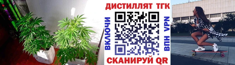 Дистиллят ТГК гашишное масло  Купить  Балашов 